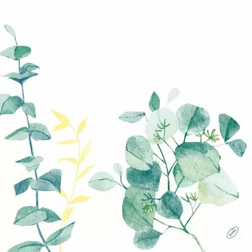 Dunisoft Stofligende Serviet 40x40cm 60stk - Spire