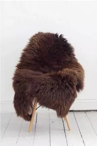 Lammeskind Europa - Brun