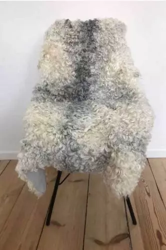 Gotlandsk Lammeskind Krøllet - Grå