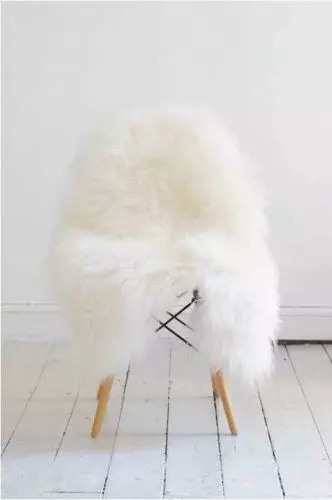 Lammeskind Europa - Hvid