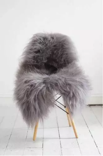 Lammeskind Europa - Grå