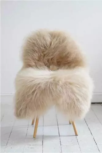 Lammeskind Europa - Sand