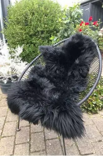 Lammeskind Europa - Sort