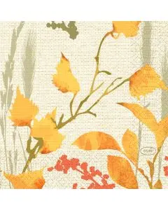 Duni Kaffeserviet 3-lags 50stk - Humble Trees