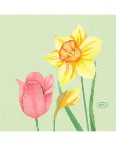 Duni serviet 24x24 Spring Melody 3-lags 50 stk.