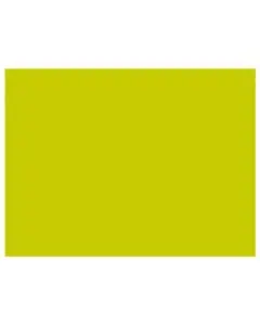 Mank Dækkeserviet 30x40cm 100stk - Kiwi