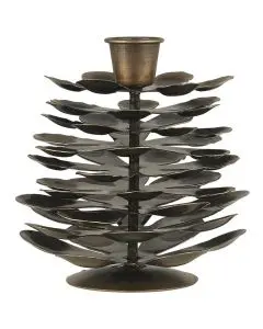 Stage kogle t/bedelys