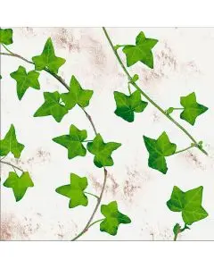 Mank Stofligende Middagsserviet 50stk - Efeuranken