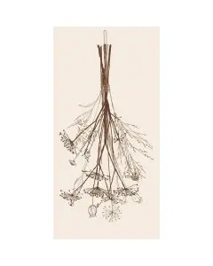 Ib Laursen Middagsserviet 3-lags 16stk - På havet