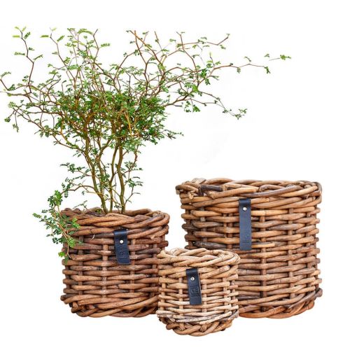 A2Living Rund Sarang Rattan Urtepotte (3stk)