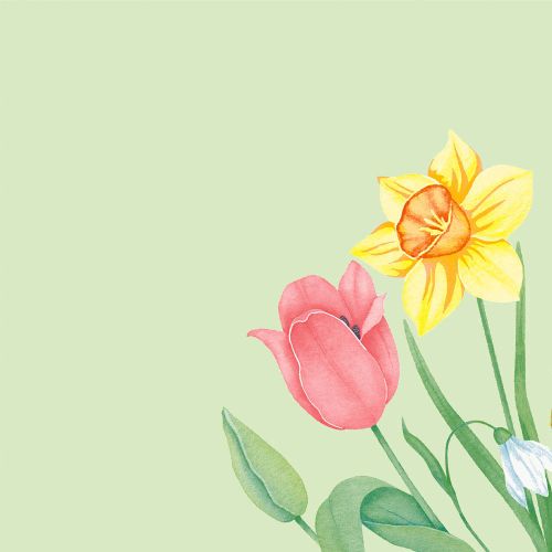 Dunisoft Stofligende Middagsserviet 60stk - Spring Melody