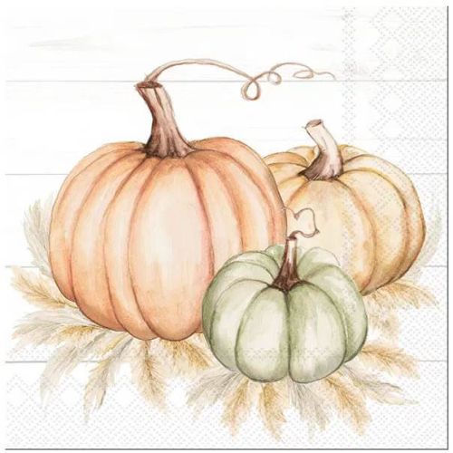 IHR Kaffeserviet 3-lags 20stk - Pumpkin Trio