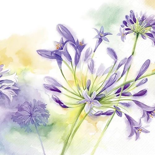 IHR Frokostserviet 3-lags 20stk - Agapanthus 