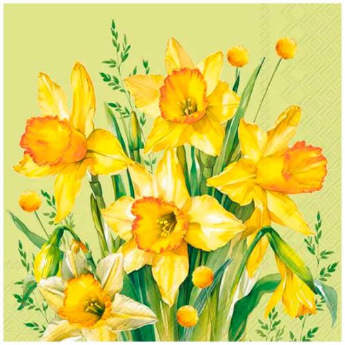IHR 3-lags Frokostserviet 33x33cm 20stk - Narcissus Bouquet Green