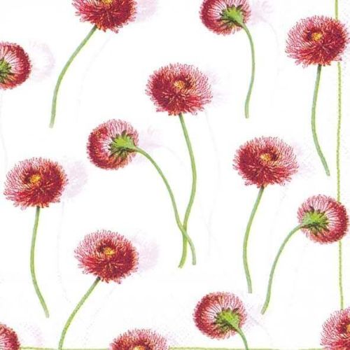 IHR 3-lags Frokostserviet 33x33cm 20stk - Bellissima White