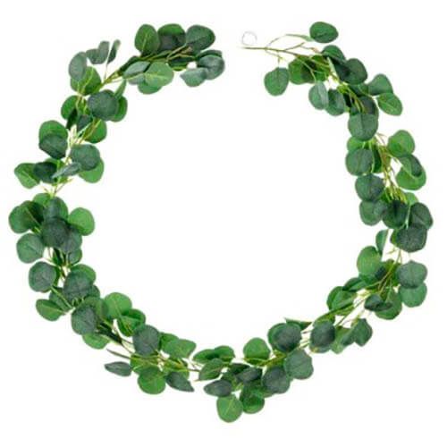 Guirlande Eukaluptus