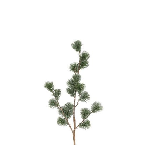 Evigheds Ceder Gran Støvet Grå H78cm