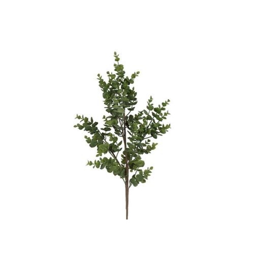 Evigheds Eucalyptus H75cm - Grøn