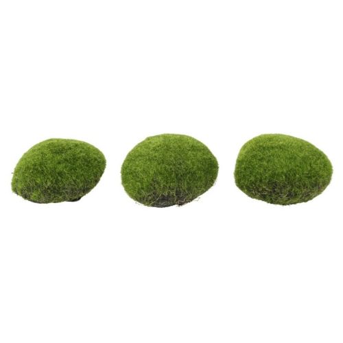 Evigheds Mos Puder 3stk. Lys Grøn