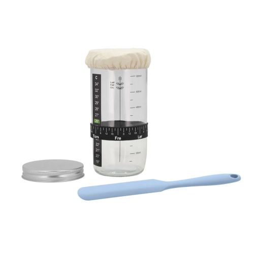 Funktion Surdejssæt 700ml - Transparent