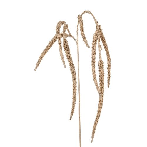 Evigheds Amaranthus Champagne H96cm