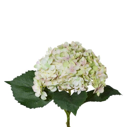 Hortensia Grøn/Lys Rosa - 53cm