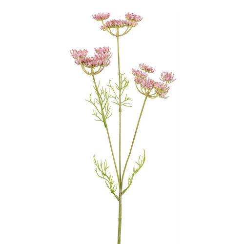 Skærmblomst Rosa - 50cm