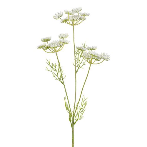 Skærmblomst Hvid - 50cm