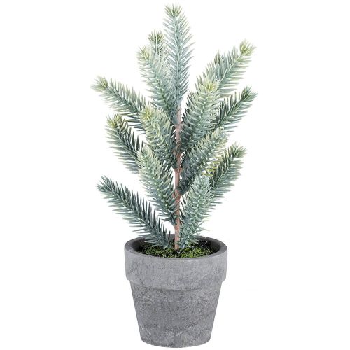 Grantræ i potte 19cm