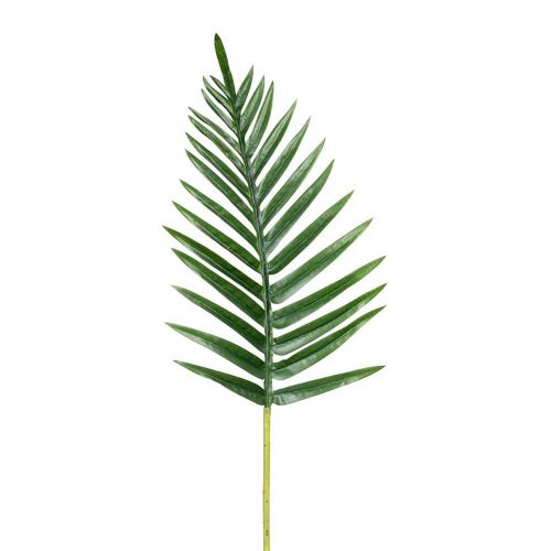 Palmeblad Grøn 65cm