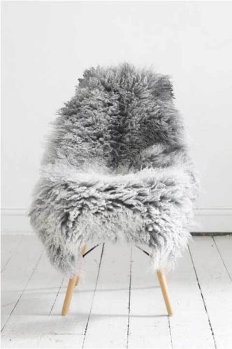 Gotlandsk Lammeskind - Grå