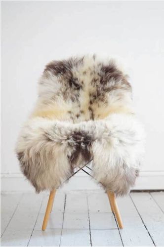 Lammeskind Europa - Flerfarvet