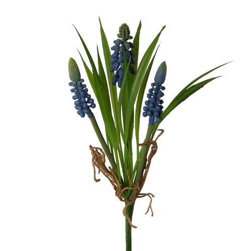 Perlehyacint Blå 22cm