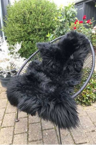 Lammeskind Europa - Sort