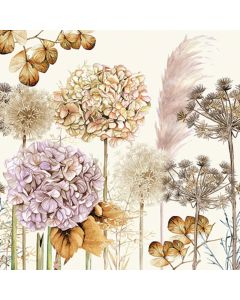 Ambiente Kaffeserviet 3-lags 20stk - Popping bottle