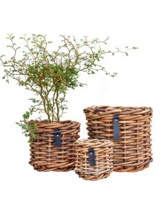 A2Living Rund Sarang Rattan Urtepotte (3stk)