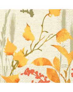 Duni Kaffeserviet 3-lags 50stk - Humble Trees