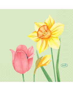 Duni serviet 24x24 Spring Melody 3-lags 50 stk.