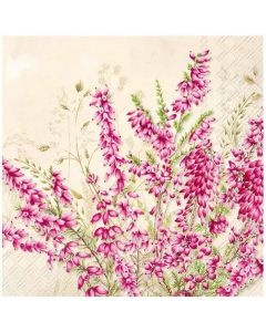 IHR Kaffeserviet 3-lags 20stk - Heather Cream