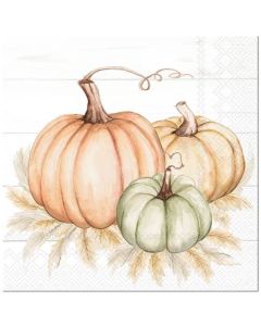 IHR Kaffeserviet 3-lags 20stk - Pumpkin Trio