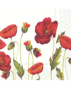 IHR Frokostserviet 3-lags 20stk - Linnea White