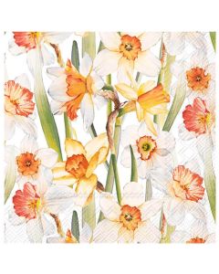 IHR 3-lags Frokostserviet 33x33cm 20stk - Daffodil Joy