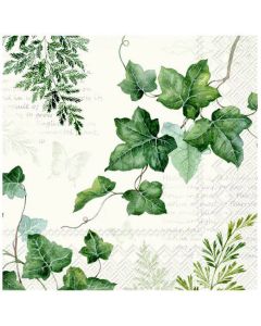 IHR Kaffeserviet 3-lags 20stk - Elwin Cream