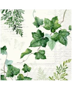 Ihr Frokostserviet 3-lags 20stk - Elwin Cream