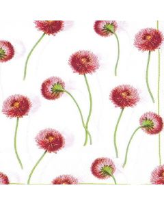 IHR 3-lags Frokostserviet 33x33cm 20stk - Bellissima White