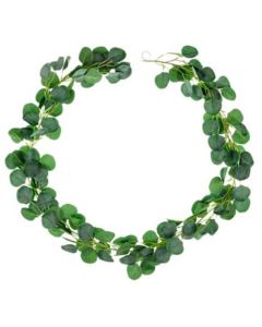 Guirlande Eukaluptus