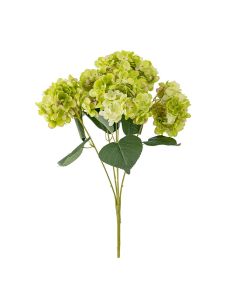 Hortensia stilk m/5 blomster 