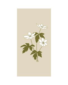 Ib Laursen Middagsserviet 3-lags 16stk - Anemoner