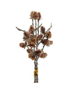 Koglegren 3stk - 28 cm