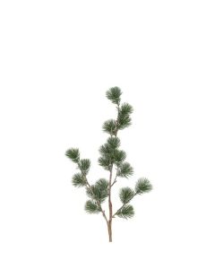 Evigheds Ceder Gran Støvet Grå H78cm